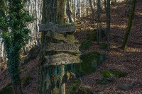 /album/rund-um-den-konigsberg-vulkanland-6-marz-2025/tieschen-kloch-06-03-2025-3-jpg/